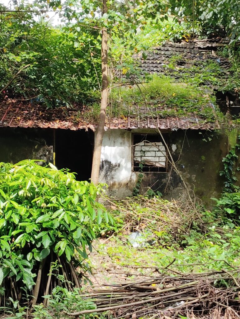 WhatsApp Image 2025-12-18 at 10.38.26