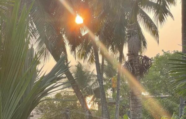 WhatsApp Image 2025-12-18 at 15.19.01