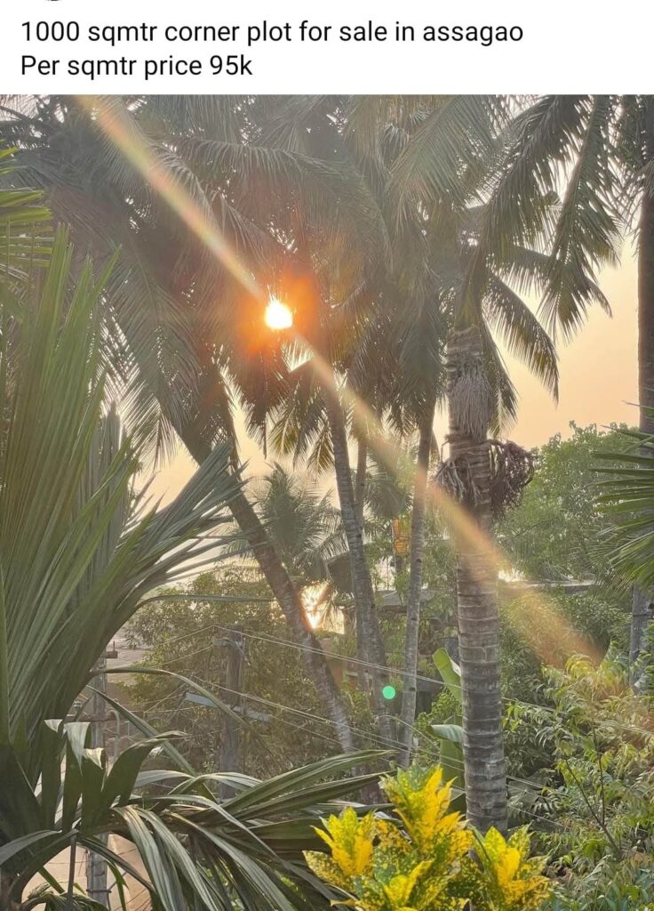 WhatsApp Image 2025-12-18 at 15.19.01