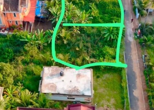 WhatsApp Image 2025-12-28 at 15.31.08