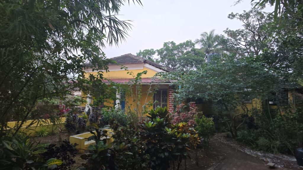 WhatsApp Image 2026-01-02 at 13.09.47