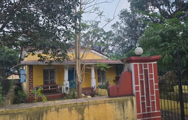 WhatsApp Image 2026-01-02 at 13.09.48