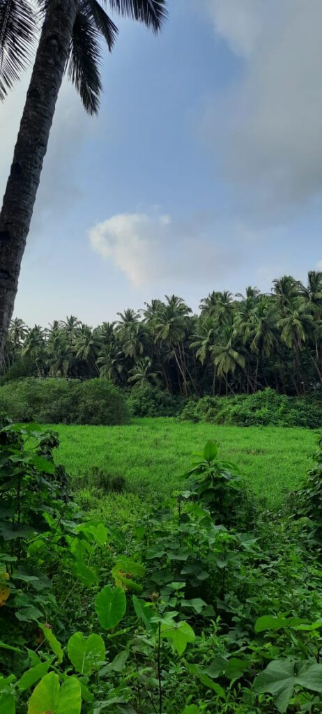 WhatsApp Image 2026-01-03 at 14.57.46 (1)