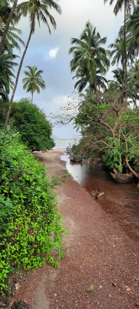 WhatsApp Image 2026-01-03 at 14.57.47 (1)