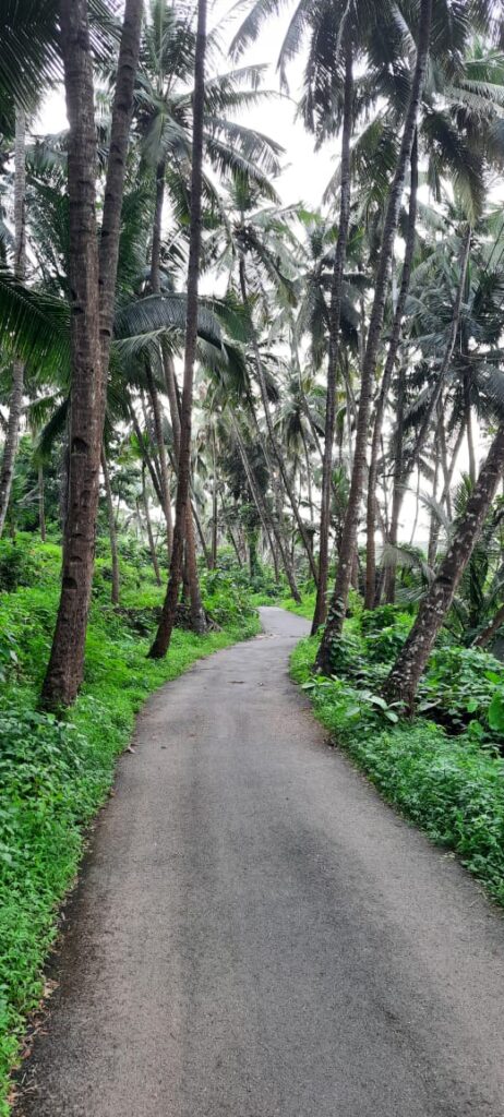 WhatsApp Image 2026-01-03 at 14.57.47