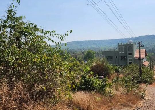 WhatsApp Image 2026-01-07 at 14.57.12