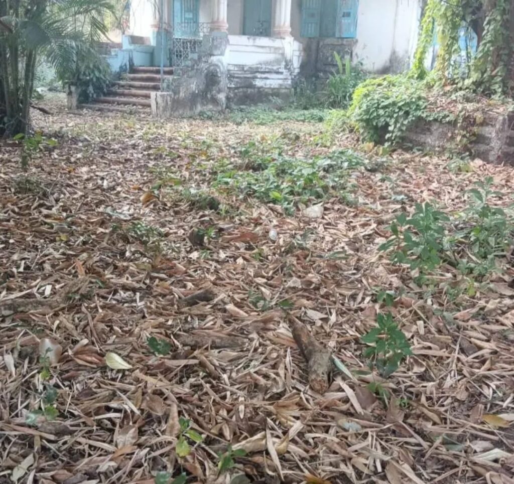 WhatsApp Image 2026-01-12 at 16.29.31