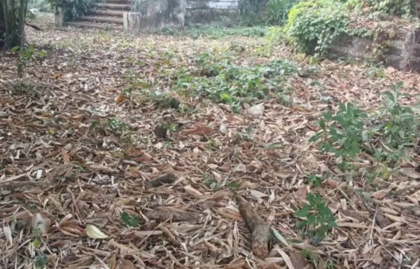 WhatsApp Image 2026-01-12 at 16.29.31