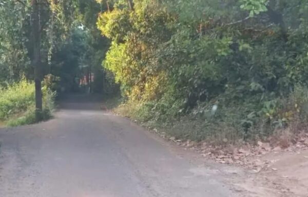 WhatsApp Image 2026-01-13 at 16.31.56