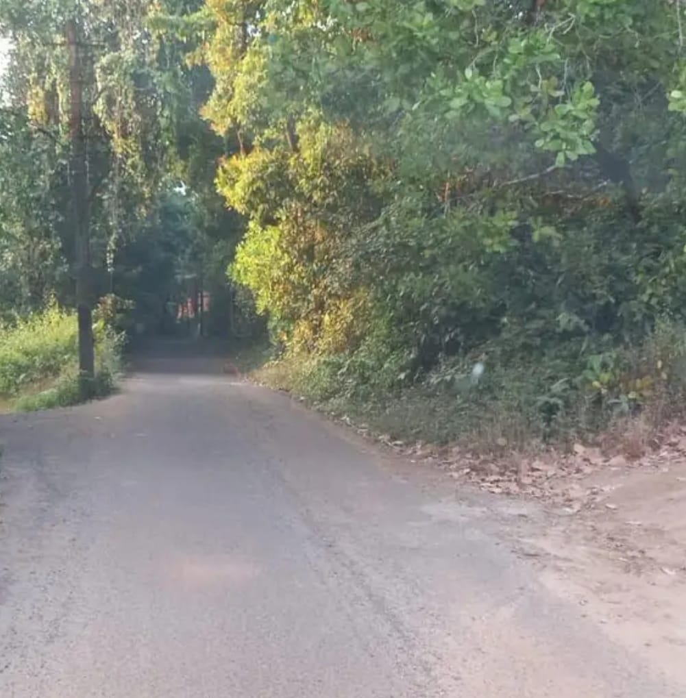 WhatsApp Image 2026-01-13 at 16.31.56