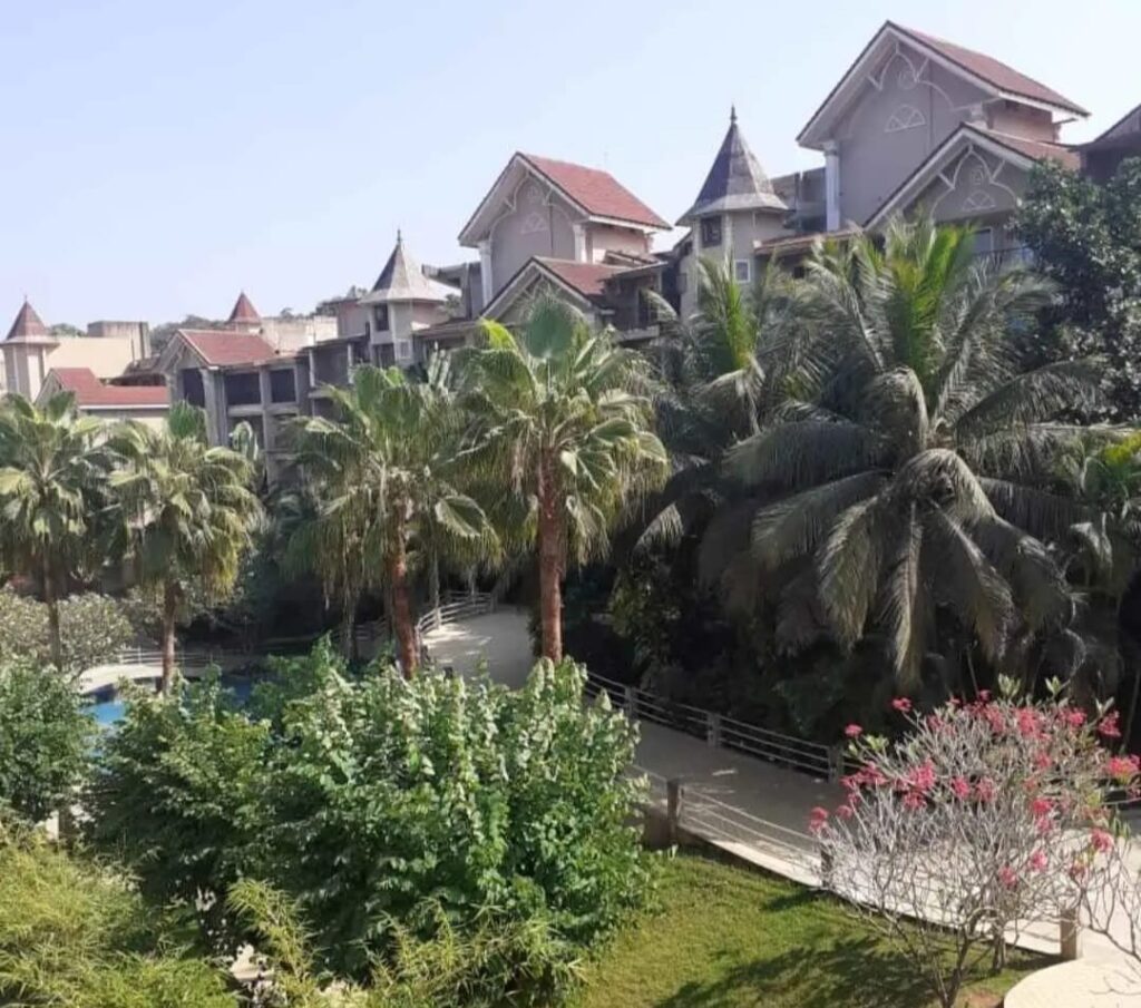 WhatsApp Image 2026-01-16 at 16.14.25