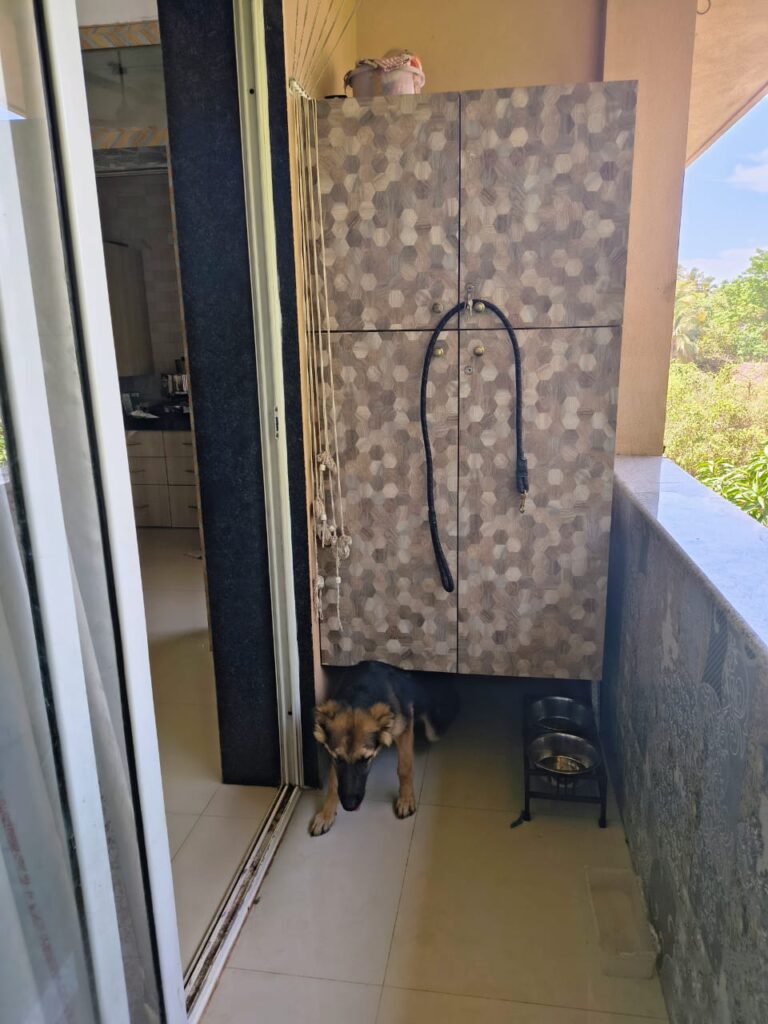 WhatsApp Image 2026-01-16 at 16.24.02 (2)