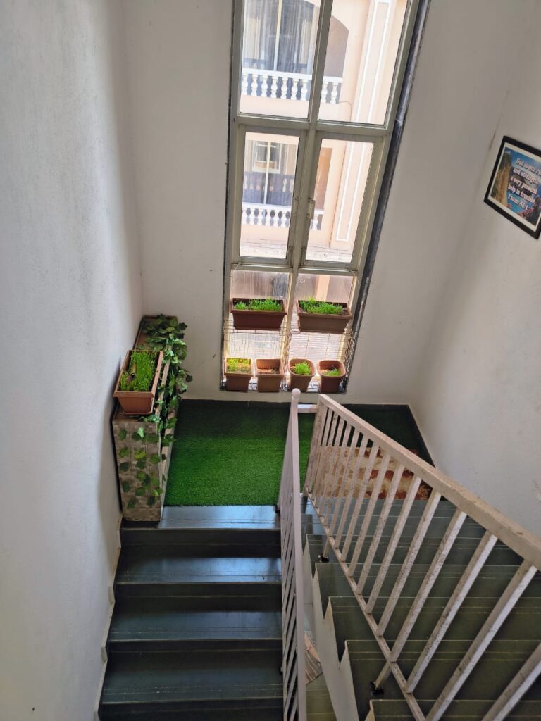 WhatsApp Image 2026-01-16 at 16.24.06