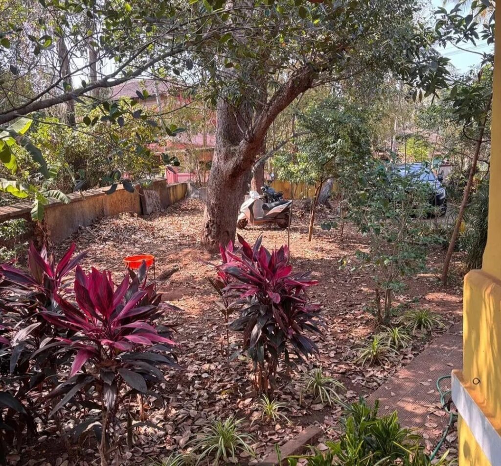 WhatsApp Image 2026-01-27 at 13.37.39 (1)