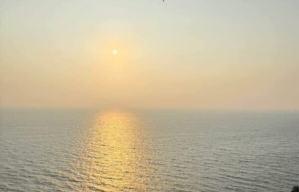 WhatsApp Image 2026-01-27 at 13.55.31