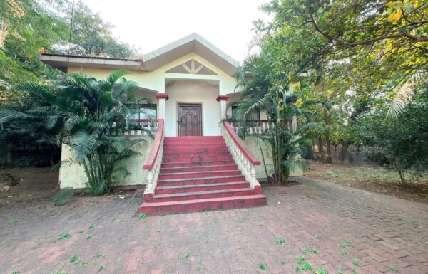 WhatsApp Image 2026-01-28 at 15.11.40