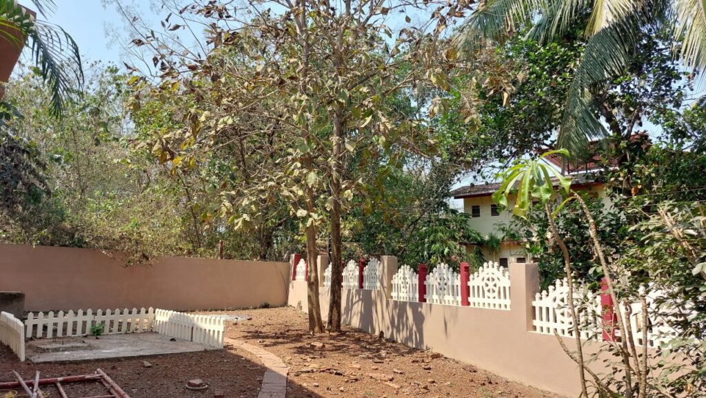 WhatsApp Image 2026-01-28 at 15.12.28