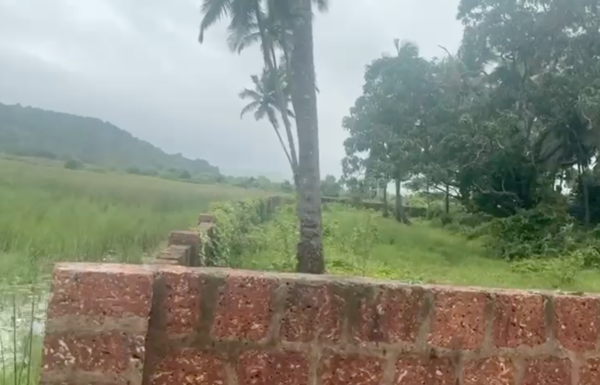 Screenshot 2026-02-02 at 3.11.55 PM