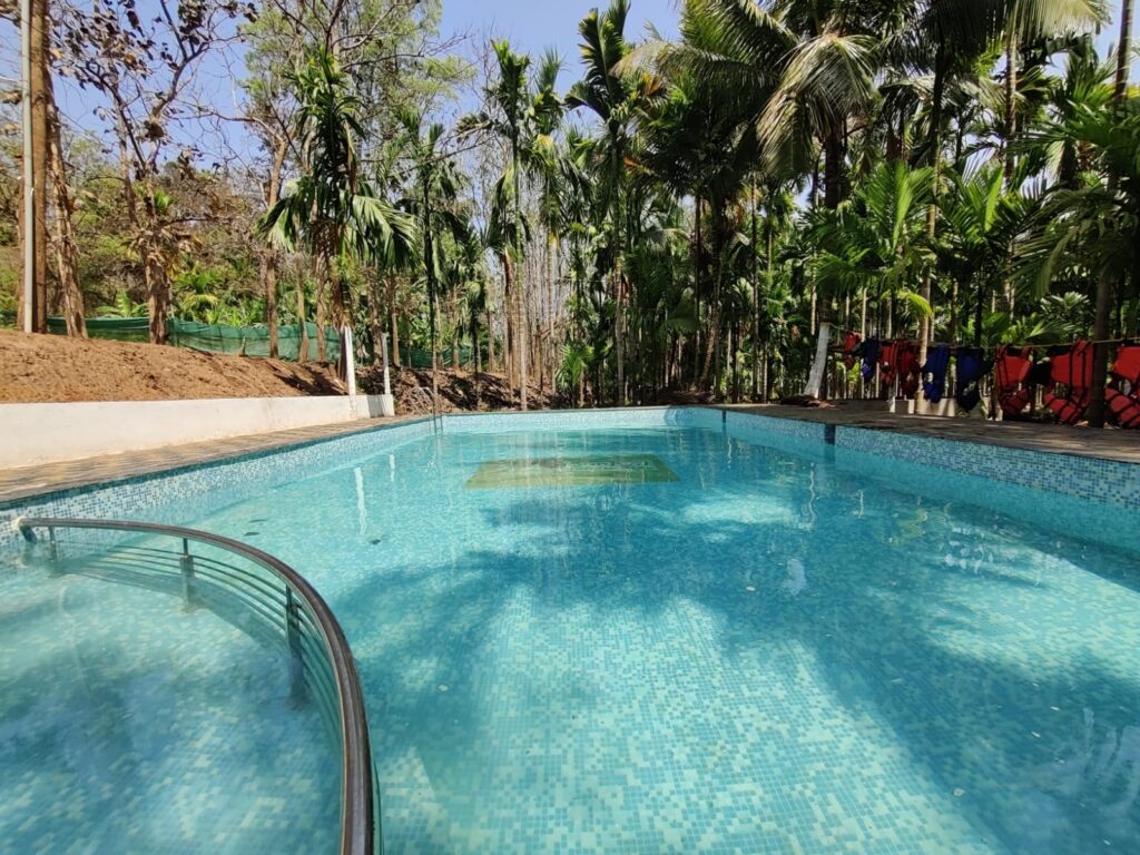 WhatsApp Image 2026-01-31 at 02.01.45