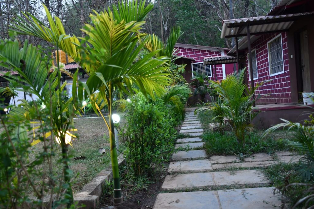 WhatsApp Image 2026-01-31 at 02.01.47 (1)