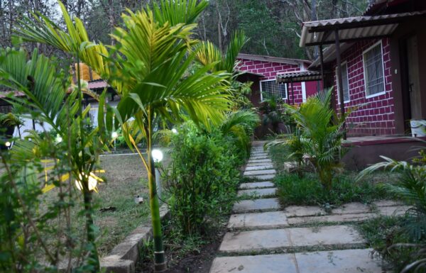 WhatsApp Image 2026-01-31 at 02.01.47 (1)