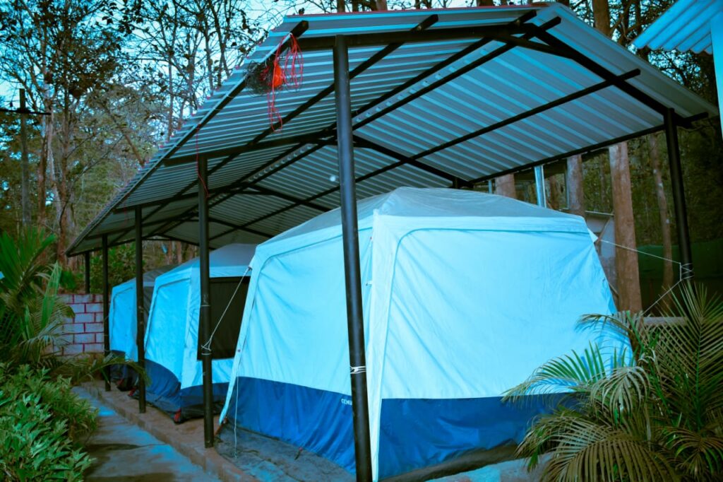 WhatsApp Image 2026-01-31 at 02.01.47