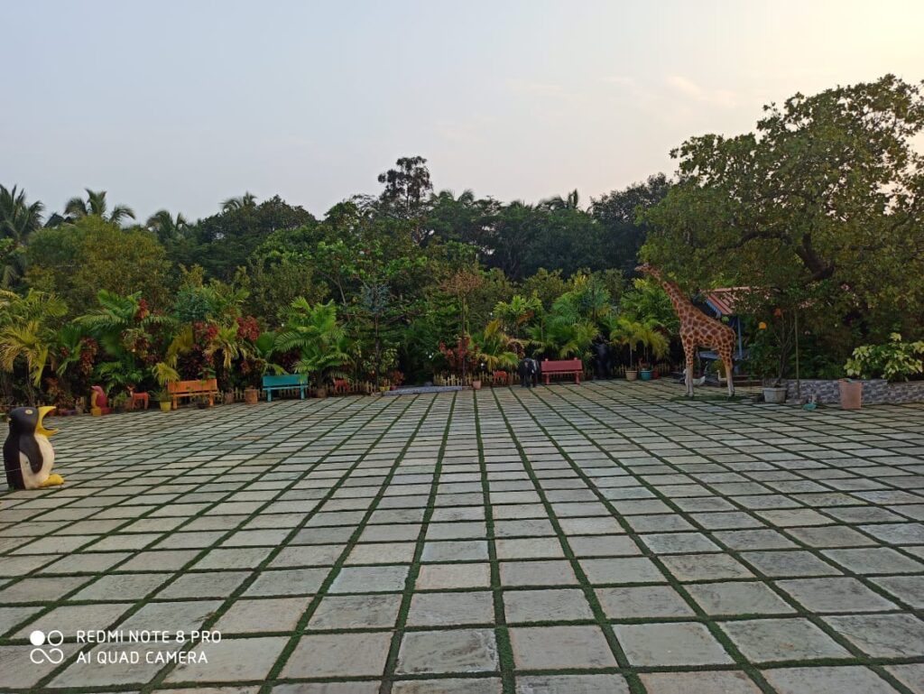 WhatsApp Image 2026-01-31 at 02.09.59 (1)