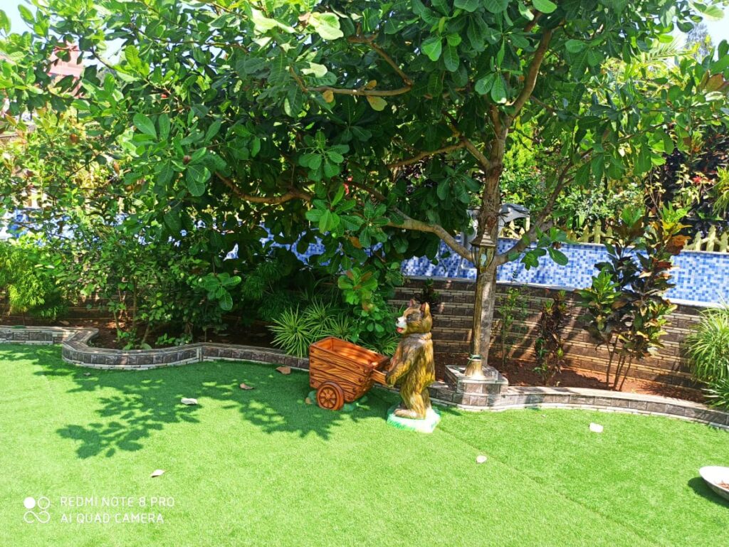 WhatsApp Image 2026-01-31 at 02.10.03 (1)