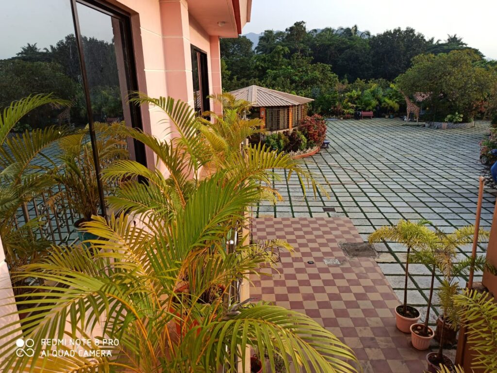 WhatsApp Image 2026-01-31 at 02.10.05 (1)