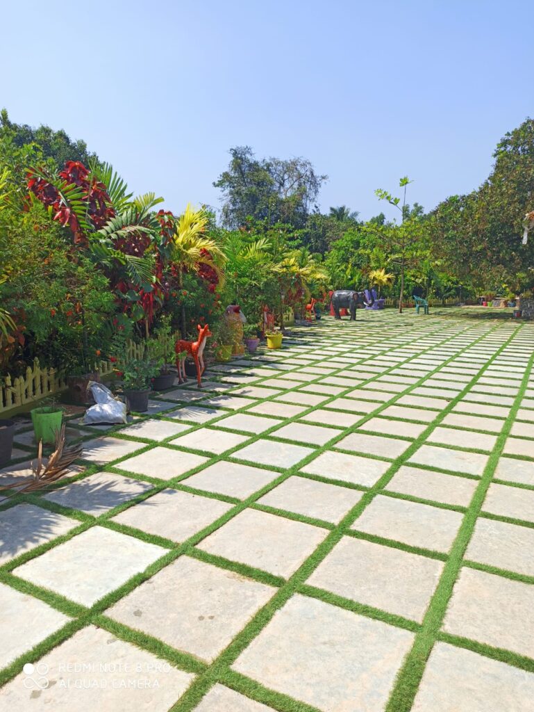 WhatsApp Image 2026-01-31 at 02.10.05