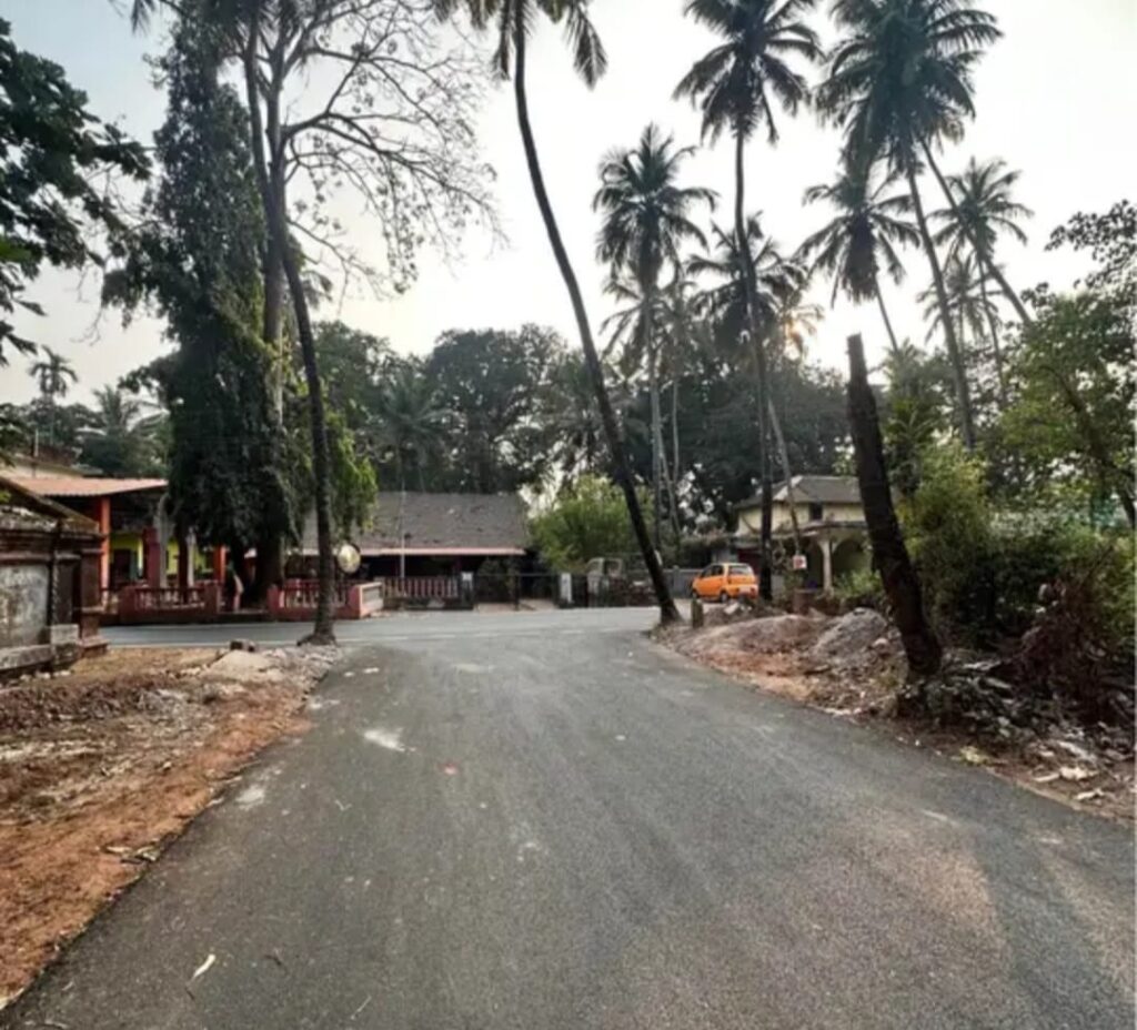 WhatsApp Image 2026-02-02 at 16.25.47