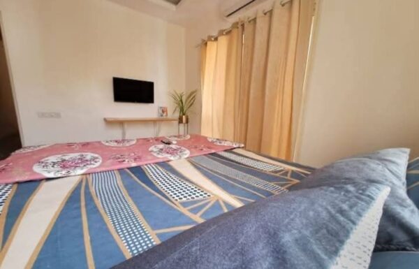 WhatsApp Image 2026-02-03 at 12.11.07