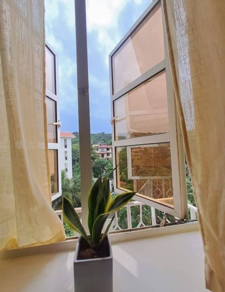 WhatsApp Image 2026-02-03 at 12.11.08 (2)