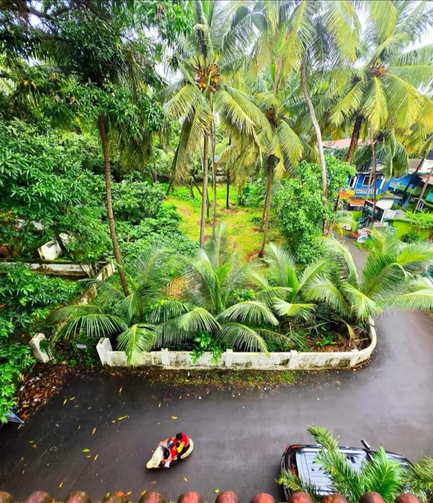 WhatsApp Image 2026-02-06 at 12.44.29 (2)