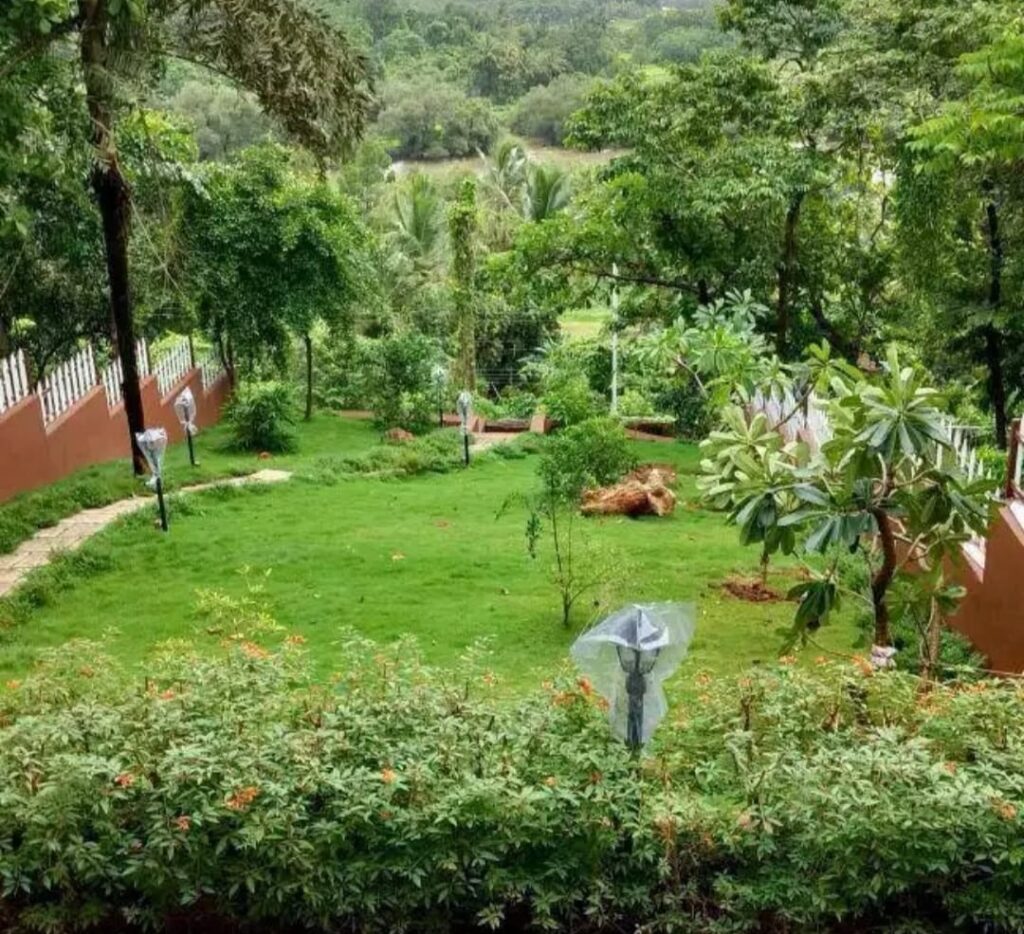 WhatsApp Image 2026-02-10 at 08.06.56