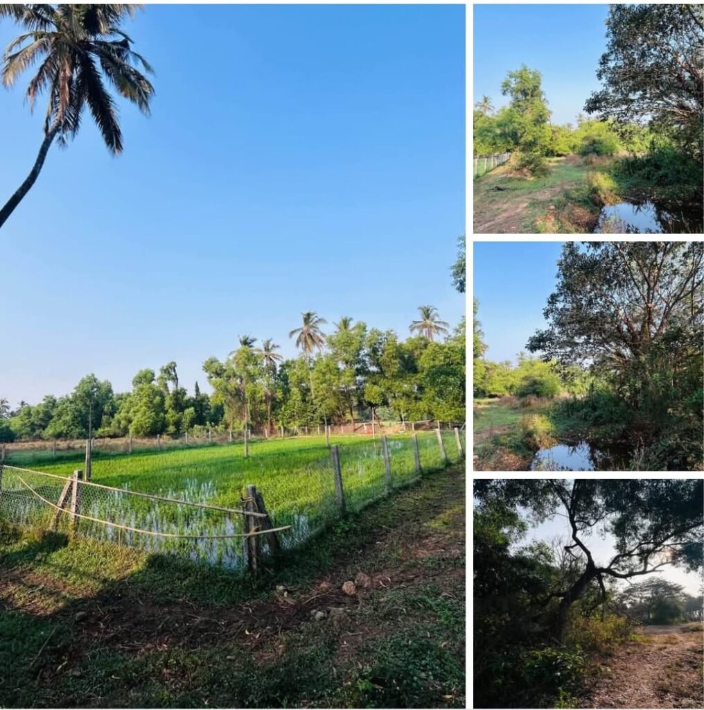 WhatsApp Image 2026-02-12 at 16.50.13