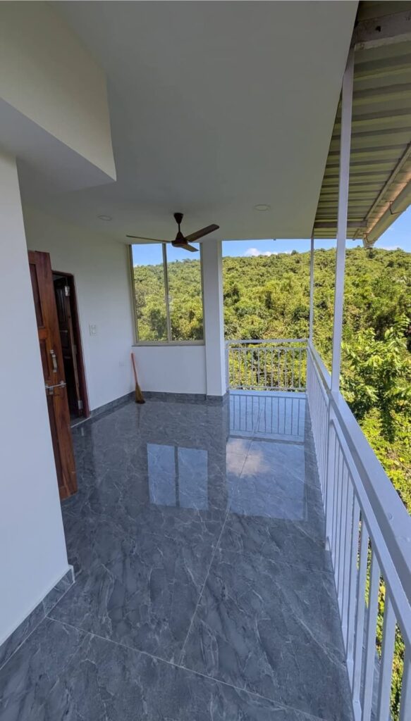 WhatsApp Image 2026-02-12 at 17.06.23