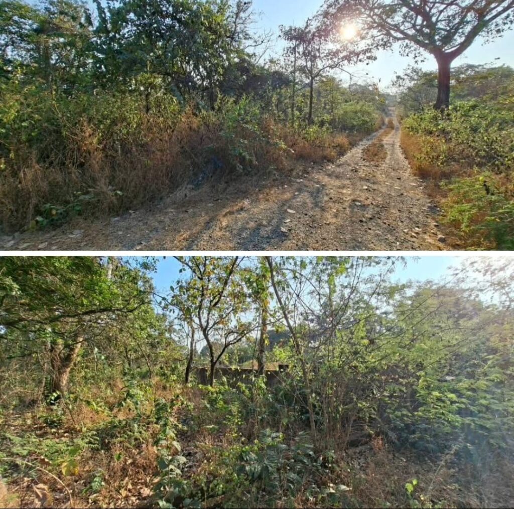 WhatsApp Image 2026-02-27 at 12.21.52 PM