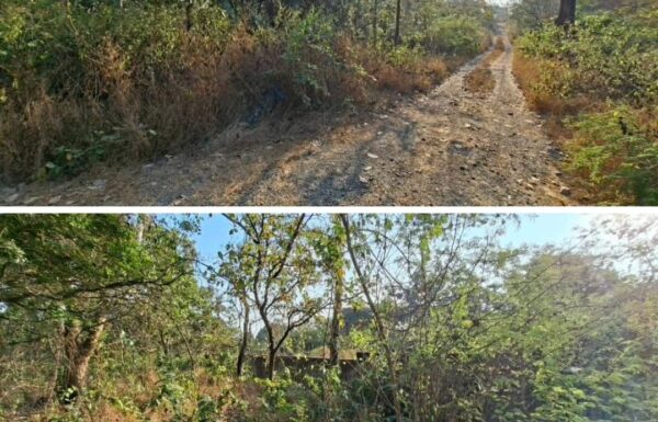 WhatsApp Image 2026-02-27 at 12.21.52 PM