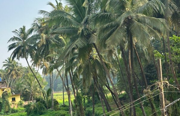 WhatsApp Image 2026-02-28 at 11.06.32 AM