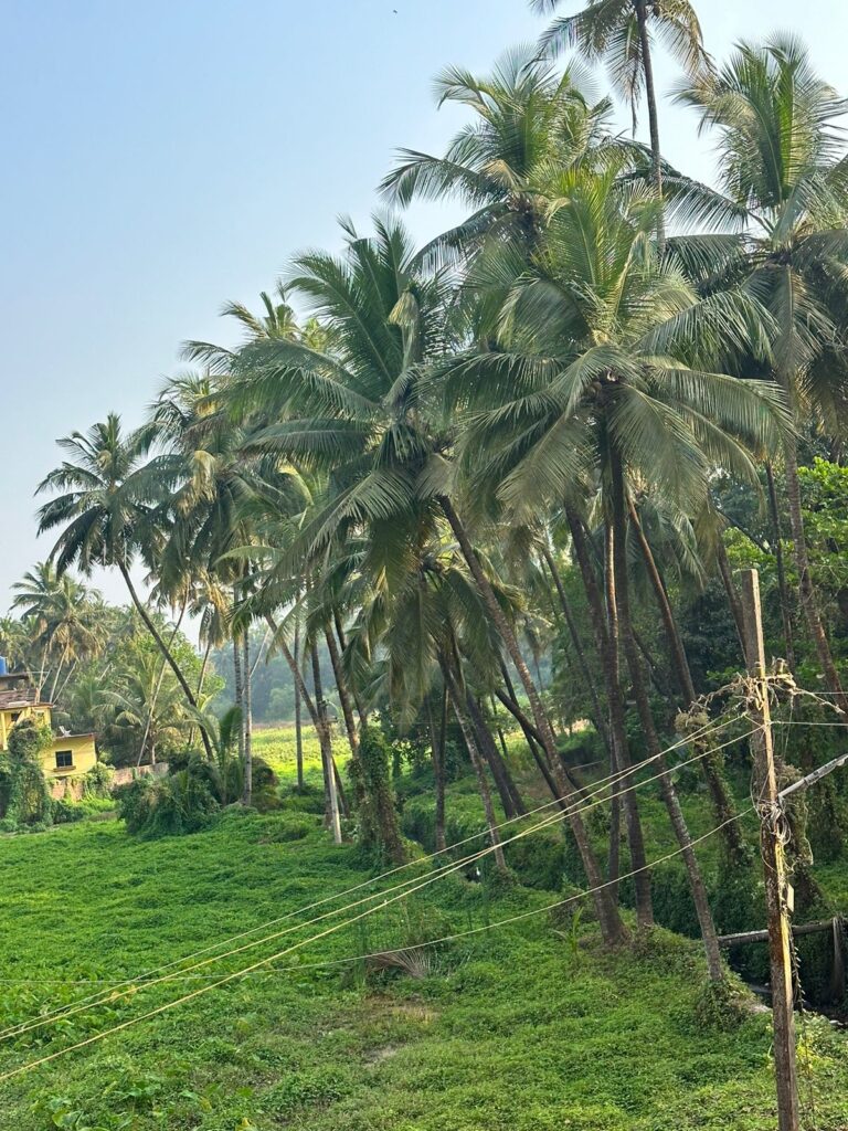 WhatsApp Image 2026-02-28 at 11.06.32 AM