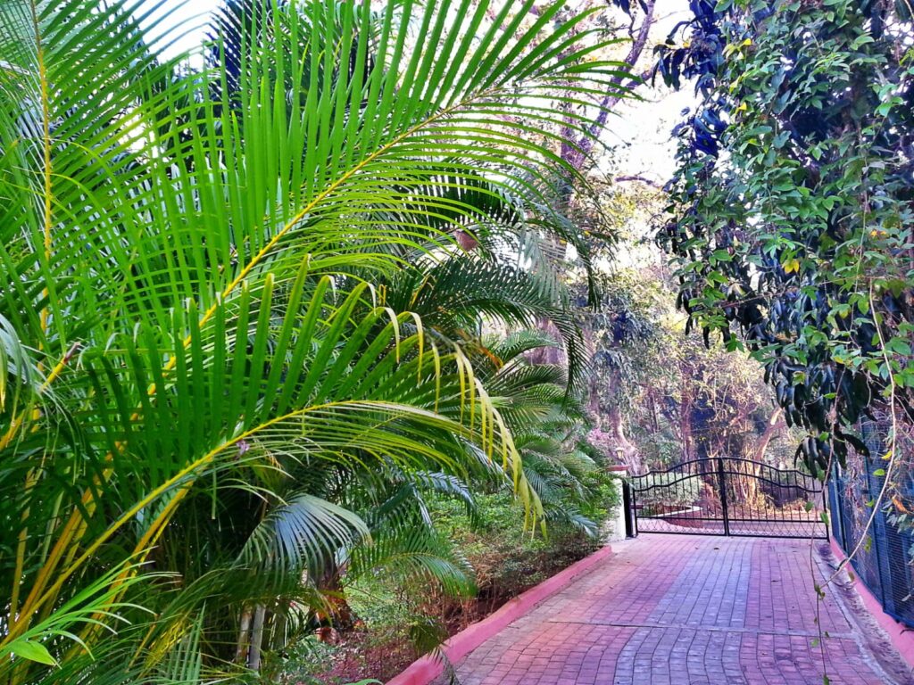 WhatsApp Image 2026-03-02 at 9.45.25 PM (1)