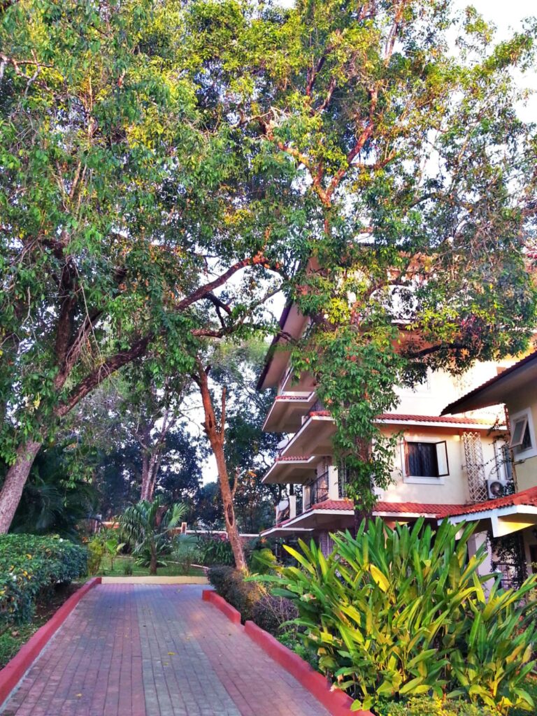 WhatsApp Image 2026-03-02 at 9.45.28 PM (1)