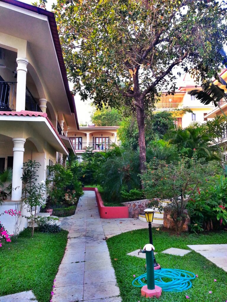 WhatsApp Image 2026-03-02 at 9.45.31 PM (3)