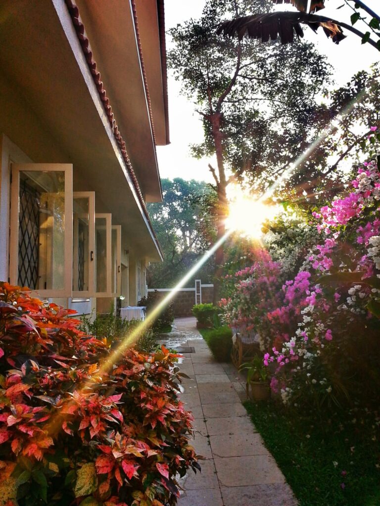 WhatsApp Image 2026-03-02 at 9.45.32 PM (1)