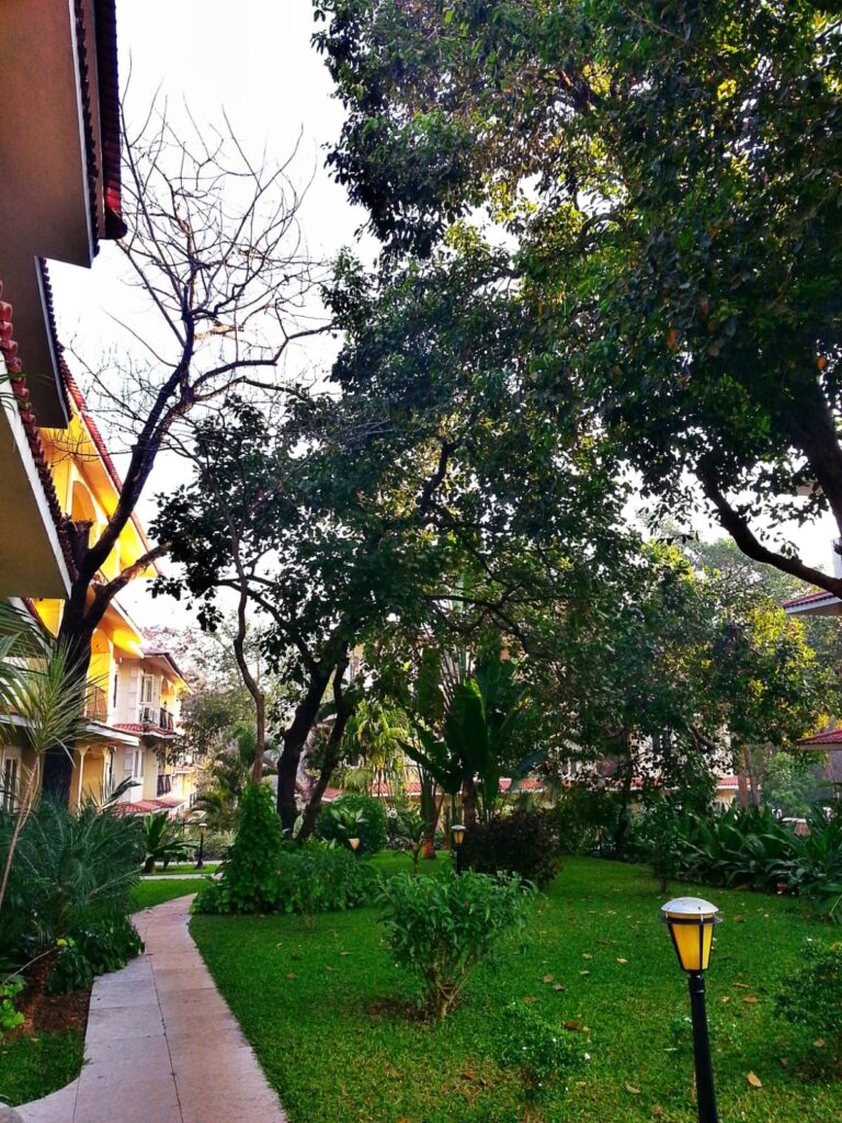 WhatsApp Image 2026-03-02 at 9.45.32 PM