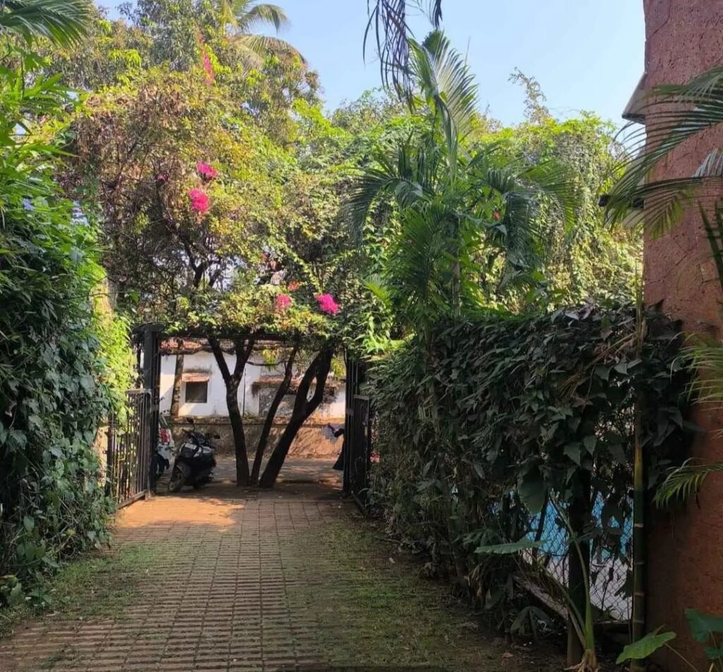 WhatsApp Image 2026-03-05 at 11.43.08 AM