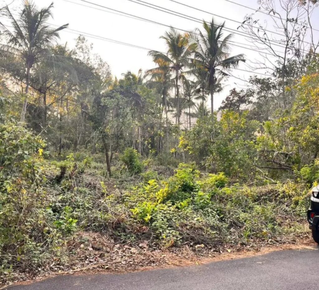 WhatsApp Image 2026-03-13 at 11.37.02 AM (1)