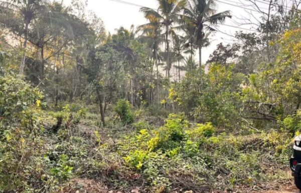 WhatsApp Image 2026-03-13 at 11.37.02 AM (1)