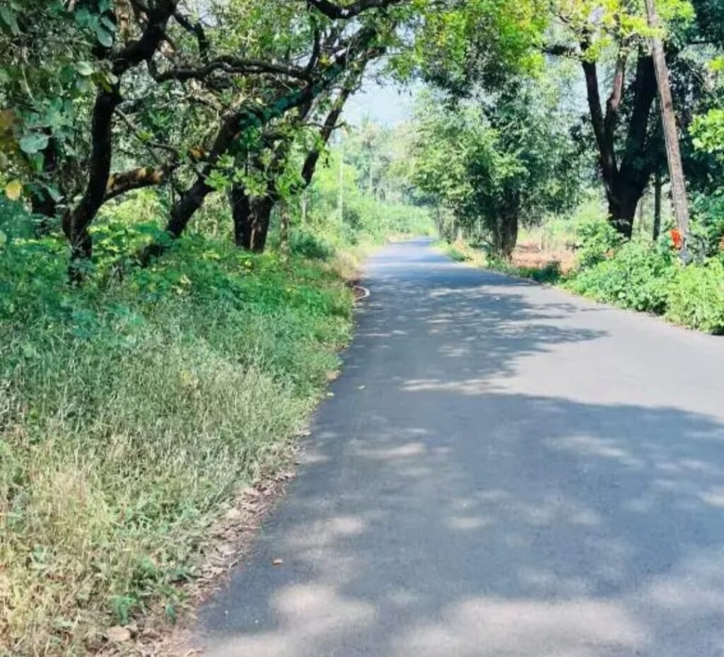 WhatsApp Image 2026-03-13 at 11.37.02 AM